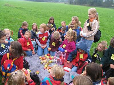 Das ist eine Streuobstaktion mit Kindern.